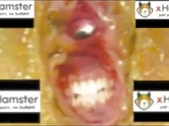 Javasoljuk, hogy találjon masszőrt, professzionális masszázst. Eljött a házához, a férfi online szexvideo készen állt, teljes testmasszázs, pihentető neki. Szép ruhák, kényelmesen fekszenek a masszázsasztal tetején. Nagyon jól táncol meztelenül a hátán és a vállán. Édes lány becsukta a szemét, majd nyögött, amikor a masszőr egy lány pár rugalmas fenék. Hamarosan egy lány, aki engedelmeskedik a rákkal az asztalon, keményen szereti őt, arra kényszerítve, hogy örömmel sikoltozzon.